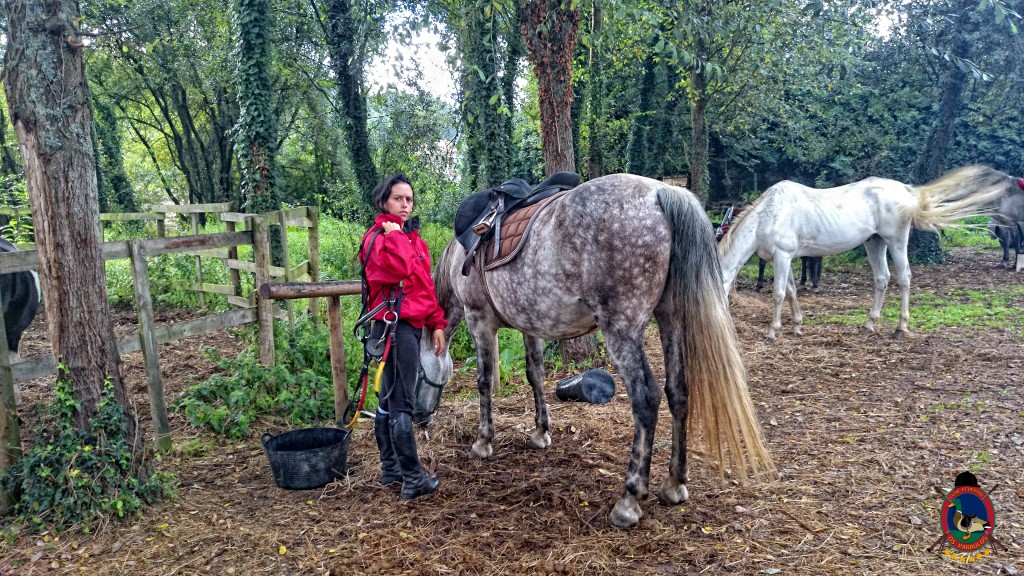 clases de equitación_La Coruña_Os Parrulos_18