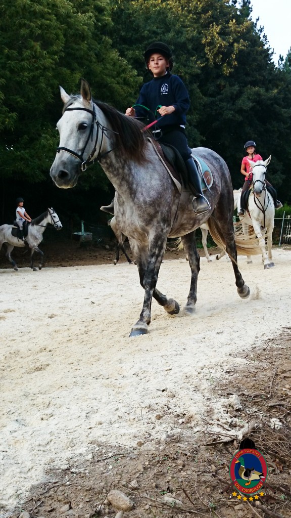 clases de equitación_Os Parrulos_montar a caballo_012
