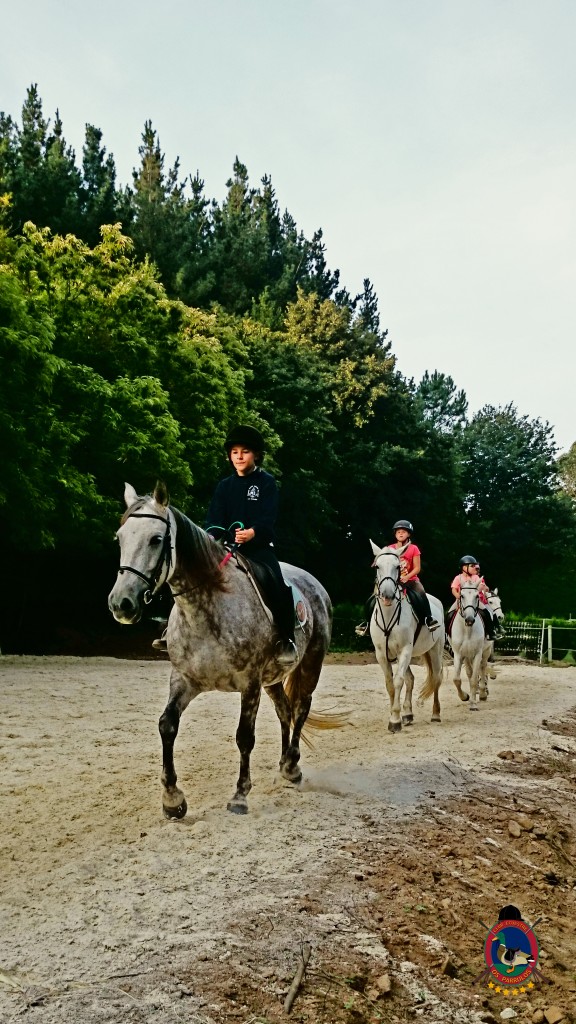 clases de equitación_Os Parrulos_montar a caballo_02