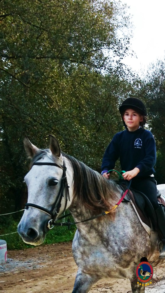 clases de equitación_Os Parrulos_montar a caballo_08