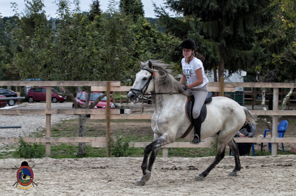Os Parrulos_Clases de equitación_hípica La Coruña_caballos_G10