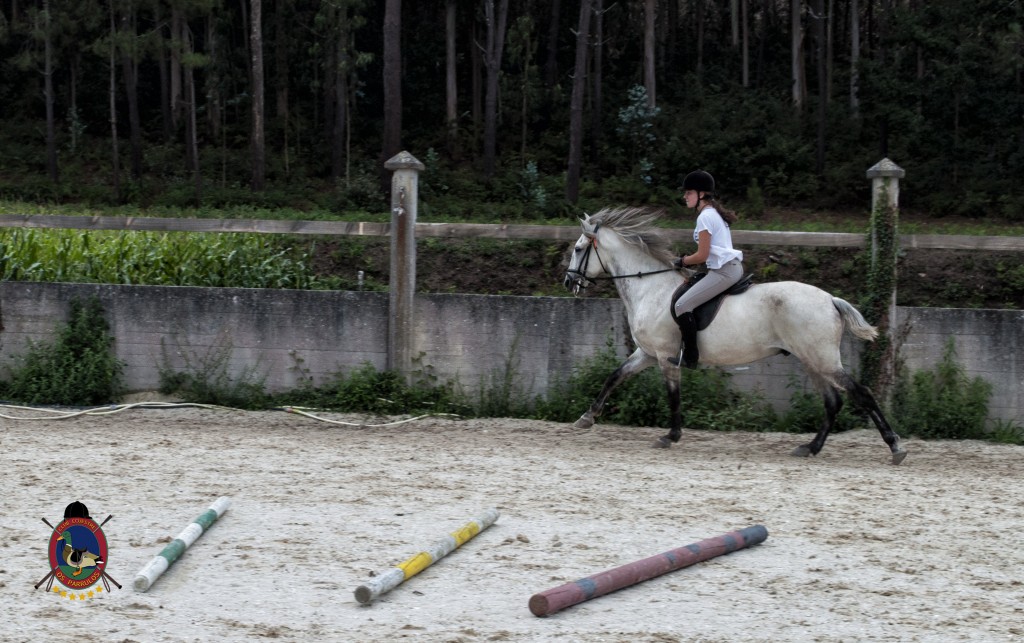 Os Parrulos_Clases de equitación_hípica La Coruña_caballos_G6