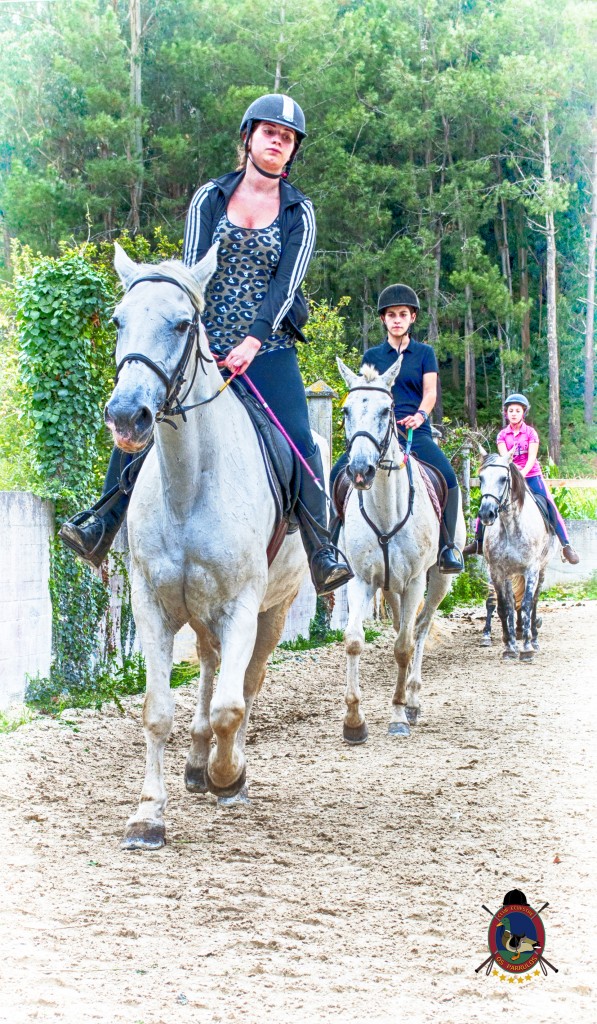 Os Parrulos_Clases de equitación_hípica La Coruña_caballos_Z5