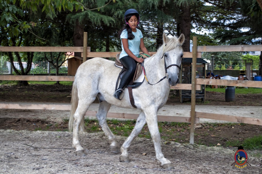 Os Parrulos_Clases de equitación_hípica La Coruña_caballos_iniciación 3