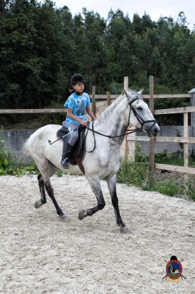 Os Parrulos_Clases de equitación_hípica La Coruña_caballos_x15