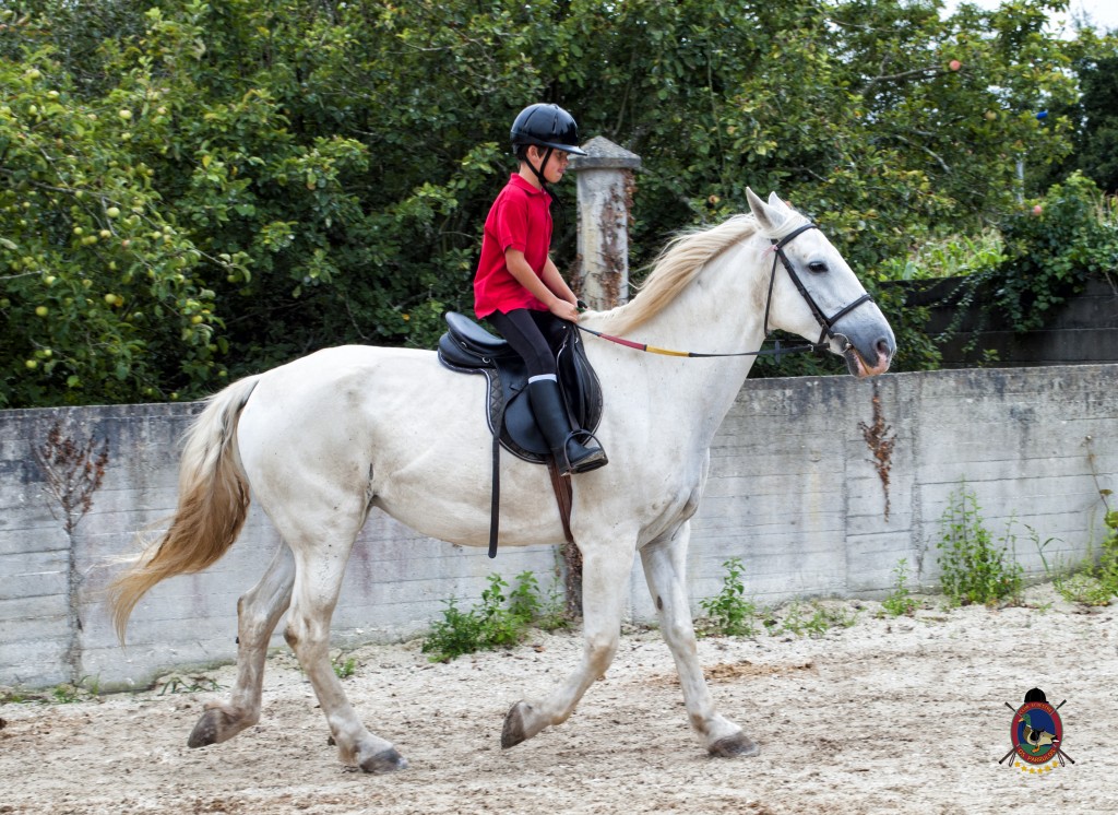 Os Parrulos_Clases de equitación_hípica La Coruña_caballos_x3