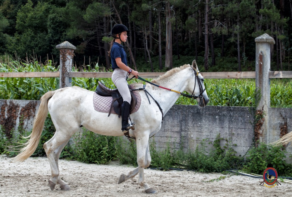 Os Parrulos_Clases de equitación_hípica La Coruña_caballos_x5