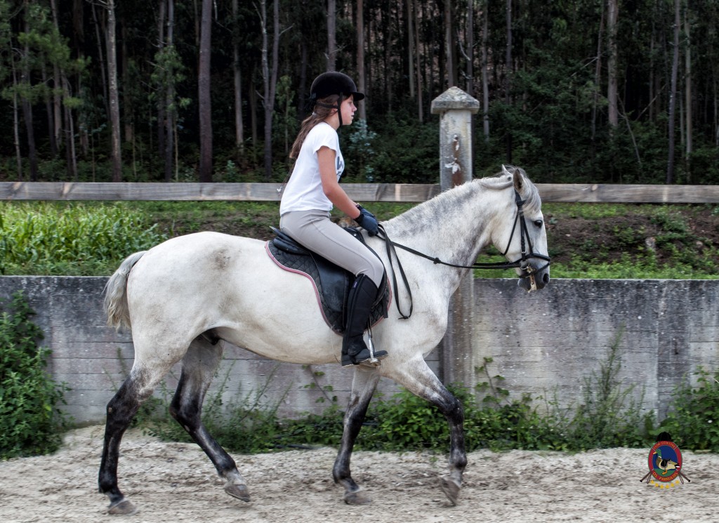 Os Parrulos_Clases de equitación_hípica La Coruña_caballos_x7