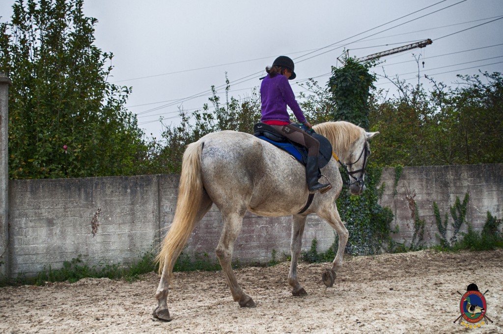 Os Parrulos_clases de equitación_clases de salto_hipica La Coruña_T11