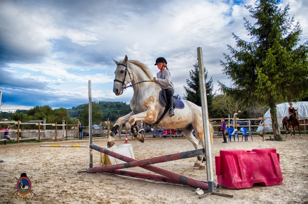 Os Parrulos_clases de equitación_clases de salto_hipica La Coruña_T29