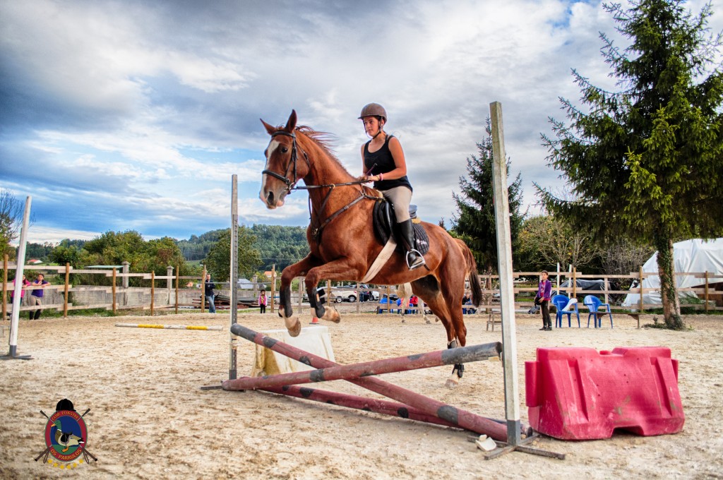 Os Parrulos_clases de equitación_clases de salto_hipica La Coruña_T30
