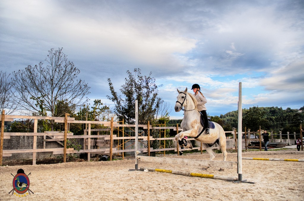 Os Parrulos_clases de equitación_clases de salto_hipica La Coruña_T31