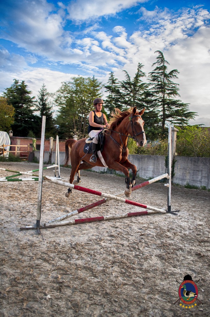 Os Parrulos_clases de equitación_clases de salto_hipica La Coruña_T50