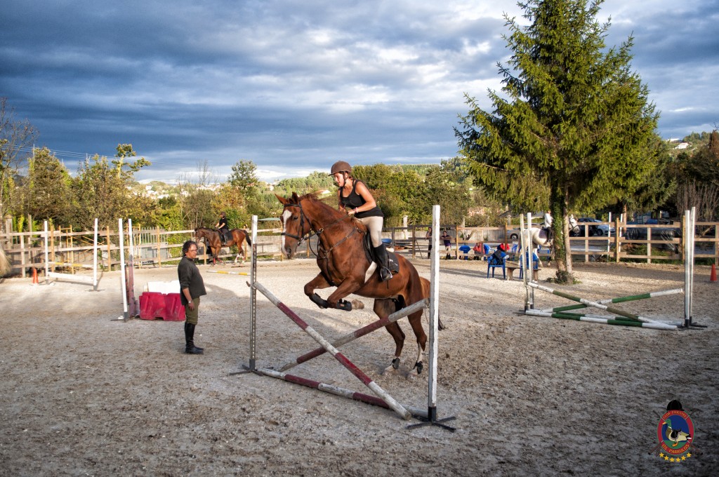 Os Parrulos_clases de equitación_clases de salto_hipica La Coruña_T52