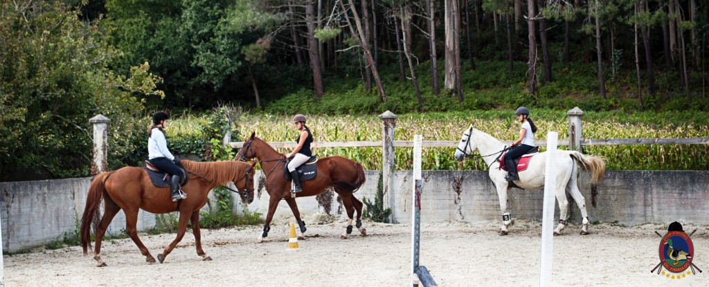 Os Parrulos_clases de equitación_clases de salto_hipica La Coruña_T6