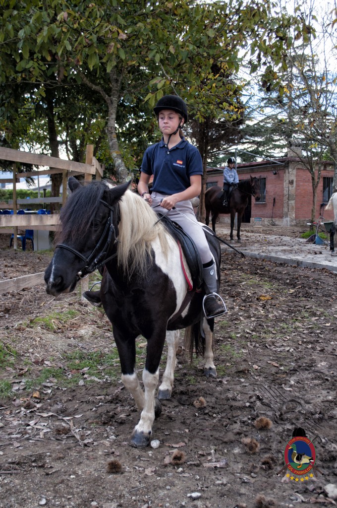 Os Parrulos_clases de equitación_hipica La Coruña_T12