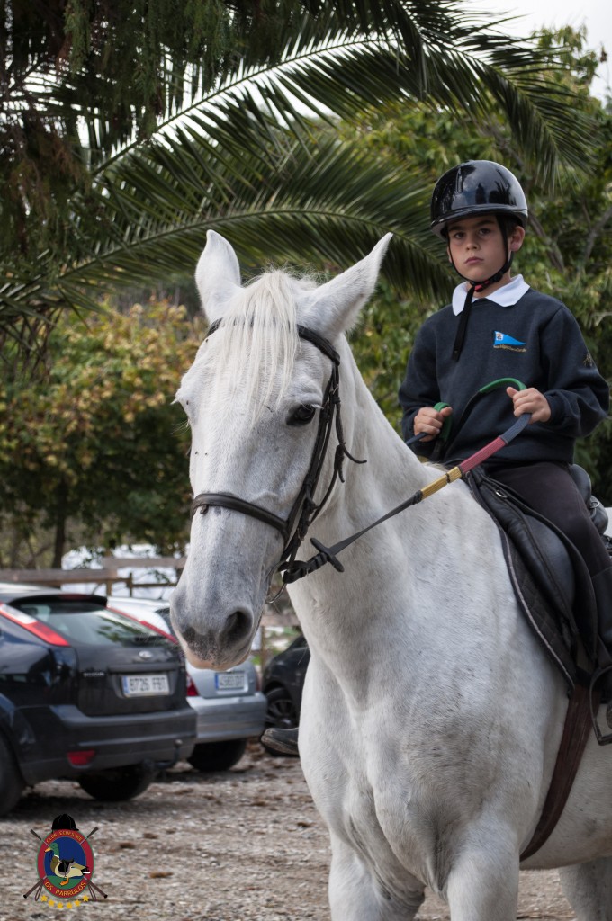 Os Parrulos_clases de equitación_hipica La Coruña_T22