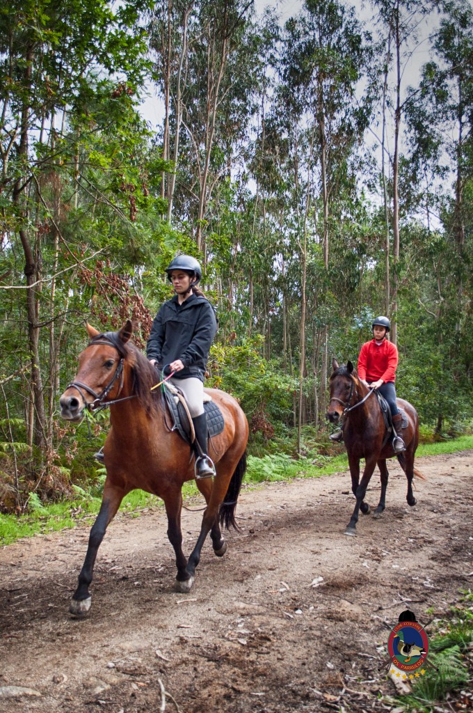 Os Parrulos_rutas a caballo_clases de equitación_hipica La Coruña_T10
