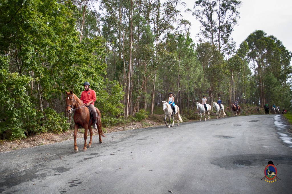 Os Parrulos_rutas a caballo_clases de equitación_hipica La Coruña_T12