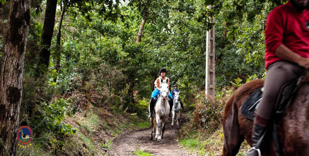 Os Parrulos_rutas a caballo_clases de equitación_hipica La Coruña_T22