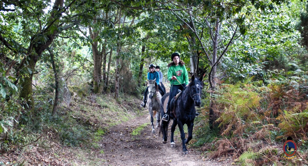 Os Parrulos_rutas a caballo_clases de equitación_hipica La Coruña_T26
