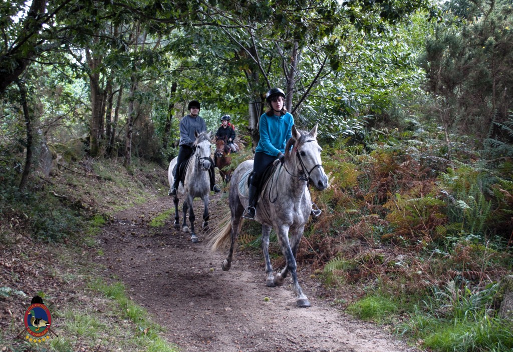Os Parrulos_rutas a caballo_clases de equitación_hipica La Coruña_T28