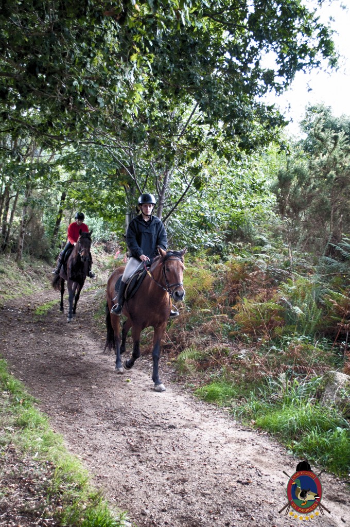 Os Parrulos_rutas a caballo_clases de equitación_hipica La Coruña_T29