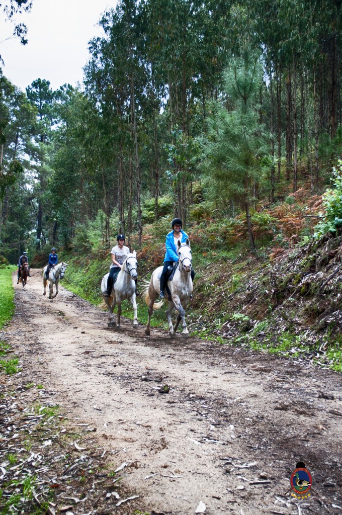 Os Parrulos_rutas a caballo_clases de equitación_hipica La Coruña_T4