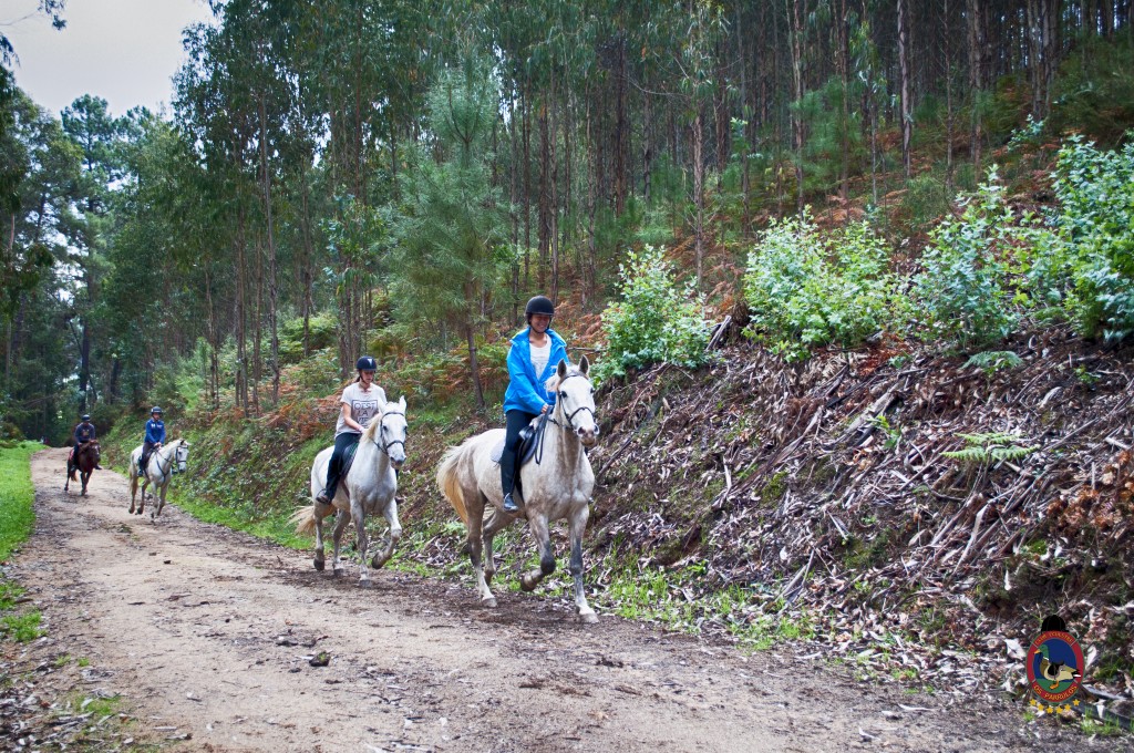 Os Parrulos_rutas a caballo_clases de equitación_hipica La Coruña_T5