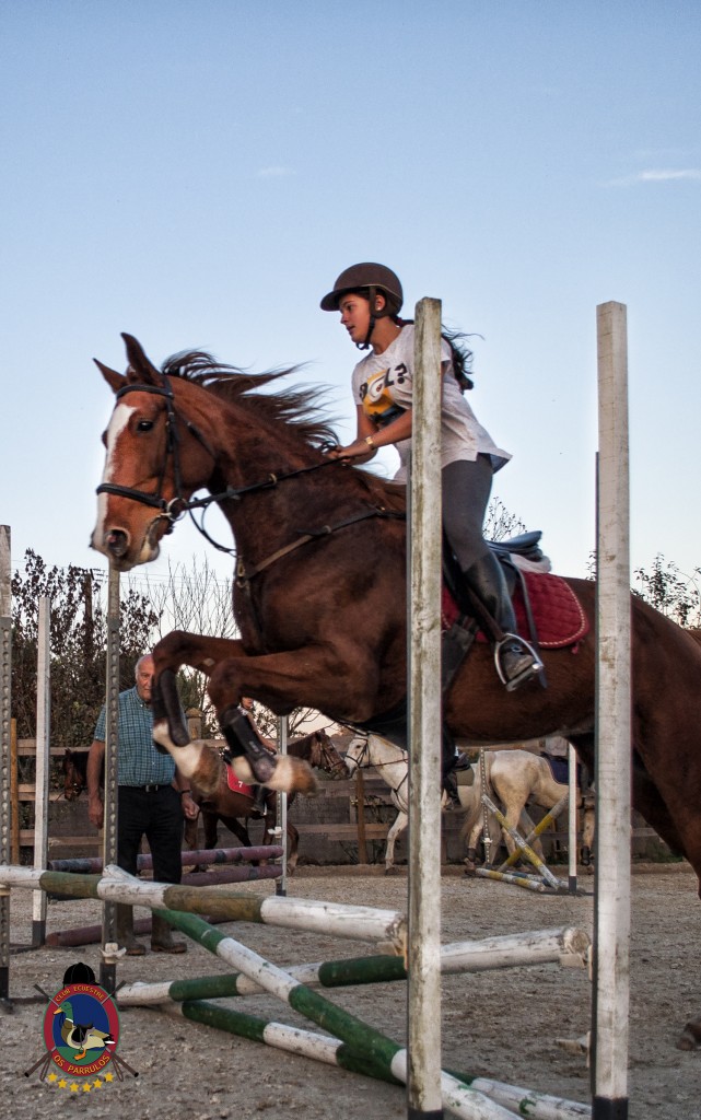 clases de equitación_hipica La Coruña_Os Parrulos_C11