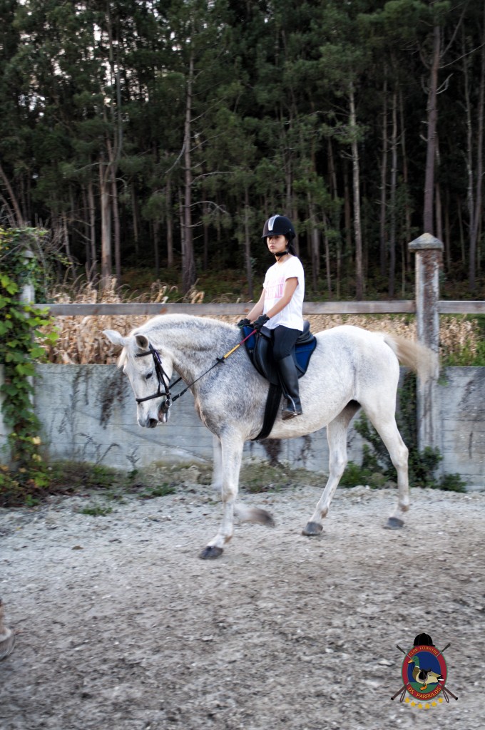 clases de equitación_hipica La Coruña_Os Parrulos_C15