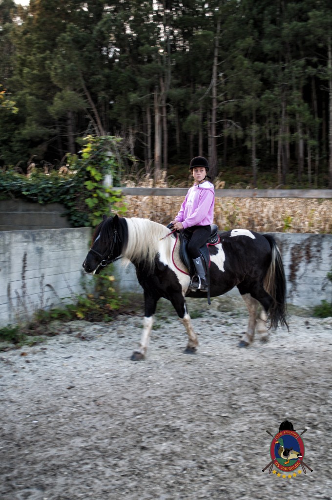 clases de equitación_hipica La Coruña_Os Parrulos_C16