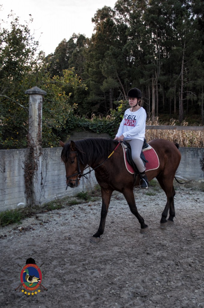 clases de equitación_hipica La Coruña_Os Parrulos_C17