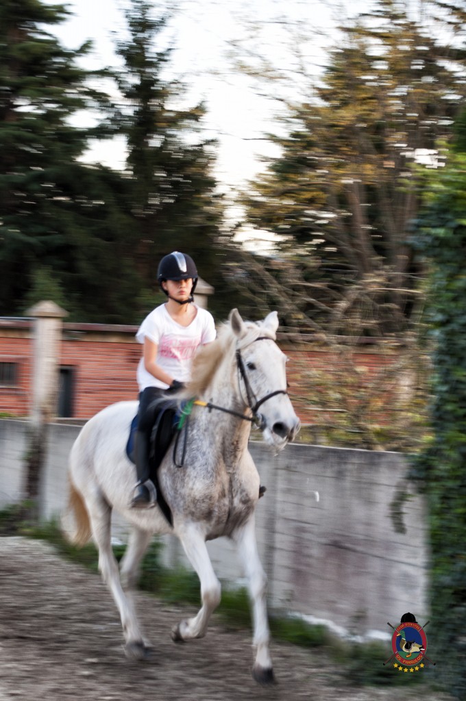 clases de equitación_hipica La Coruña_Os Parrulos_C24