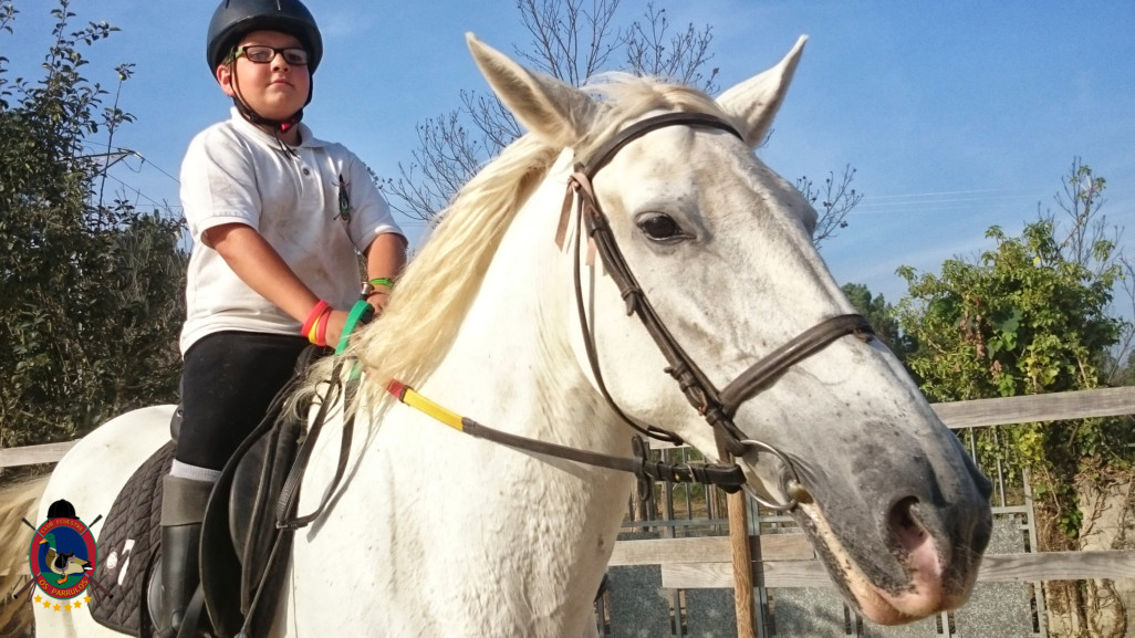 Clases de equitación_paseos a caballo_hipica La Coruna_Os Parrulos_23