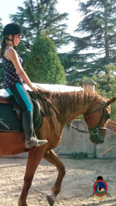 Clases de equitación_paseos a caballo_hipica La Coruna_Os Parrulos_30
