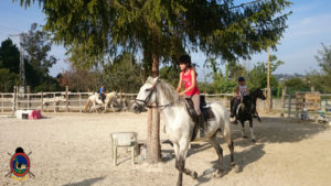 Clases de equitación_paseos a caballo_hipica La Coruna_Os Parrulos_33