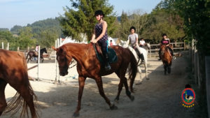 Clases de equitación_paseos a caballo_hipica La Coruna_Os Parrulos_57