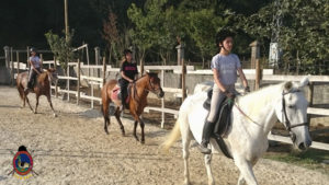 Clases de equitación_paseos a caballo_hipica La Coruna_Os Parrulos_60