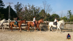 Clases de equitación_paseos a caballo_hipica La Coruna_Os Parrulos_63