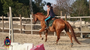 Clases de equitación_paseos a caballo_hipica La Coruna_Os Parrulos_68
