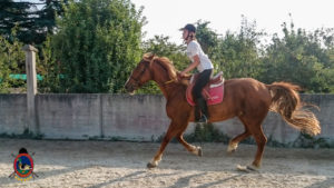Clases de equitación_paseos a caballo_hipica La Coruna_Os Parrulos_69