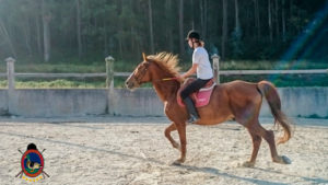Clases de equitación_paseos a caballo_hipica La Coruna_Os Parrulos_70