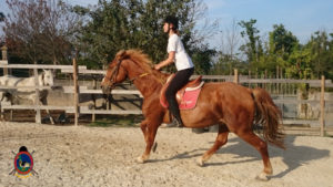 Clases de equitación_paseos a caballo_hipica La Coruna_Os Parrulos_71