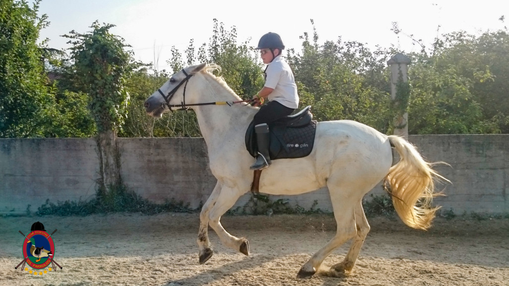 Clases de equitación_paseos a caballo_hipica La Coruna_Os Parrulos_73