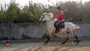 Clases de equitación_paseos a caballo_hipica La Coruna_Os Parrulos_88