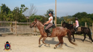 Clases de equitación_paseos a caballo_hipica La Coruna_Os Parrulos_93