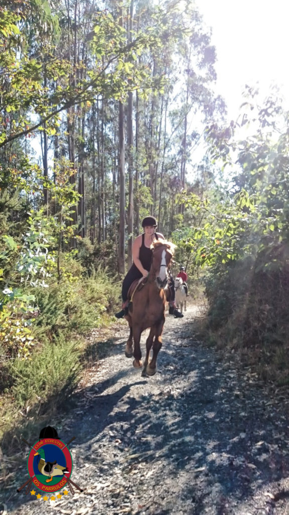 rutas-a-caballo_clases-de-equitacion_hipica-la-coruna_os-parrulos_caballos_r10