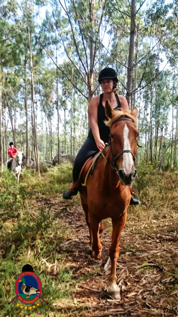 rutas-a-caballo_clases-de-equitacion_hipica-la-coruna_os-parrulos_caballos_r13