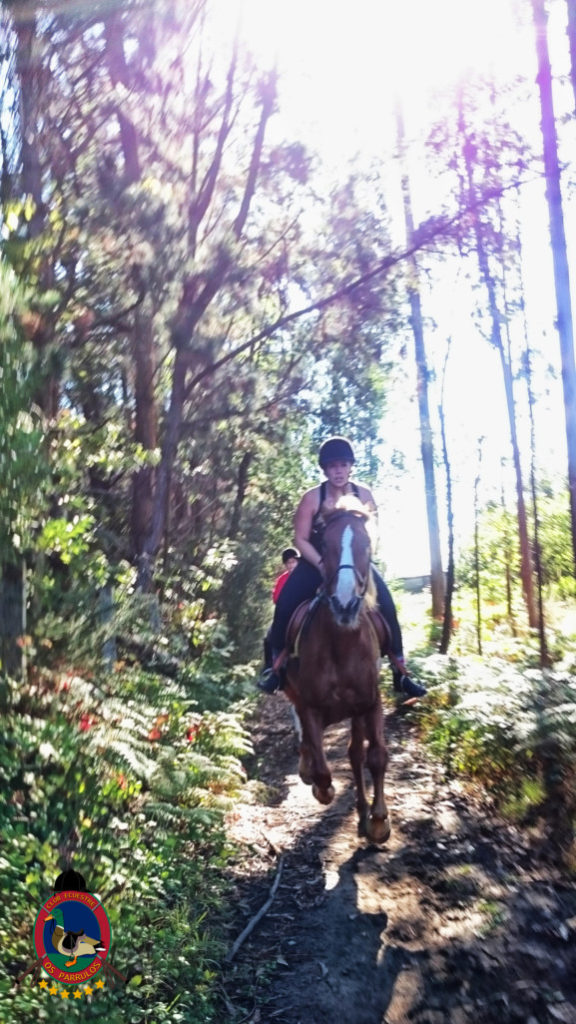 rutas-a-caballo_clases-de-equitacion_hipica-la-coruna_os-parrulos_caballos_r18
